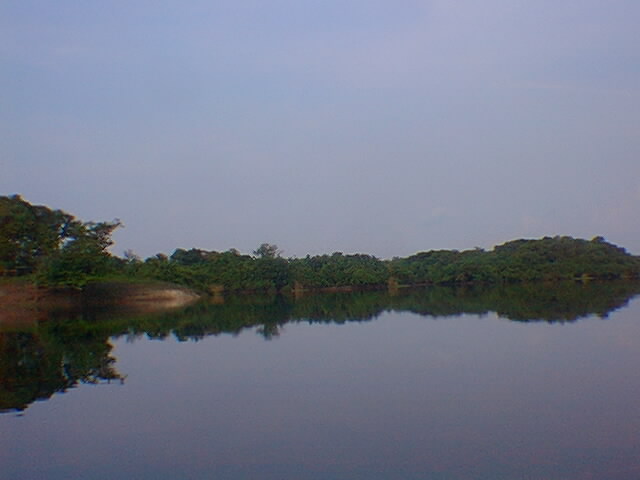 habitat do boto cinza