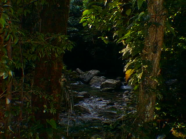 riacho em Bertioga riacho em Bertioga