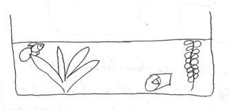 peixe de briga no aquário ideal